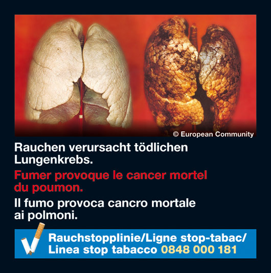 Switzerland 2010-2012 Health Effects lung - diseased organ, lung cancer, gross
